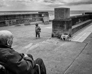 A street photographer captures a man in a wheelchair admiring a dog on the beach.