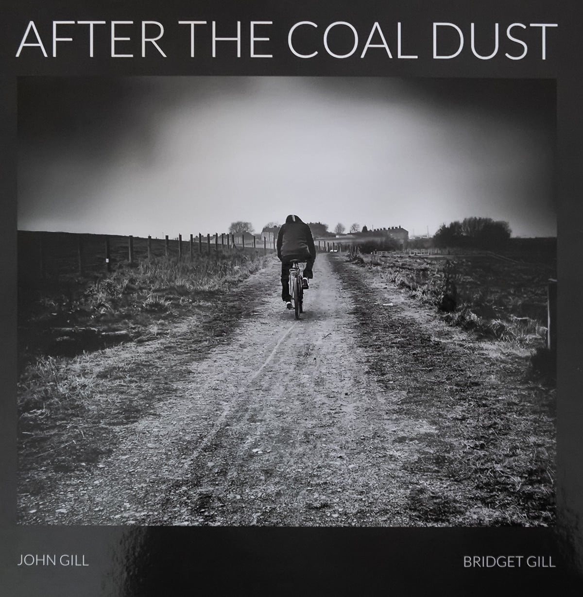 after the coal dust book cover